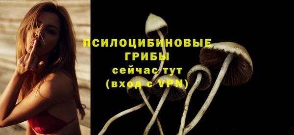 экстази Баксан