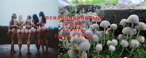 экстази Баксан