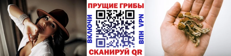 Псилоцибиновые грибы ЛСД Коломна